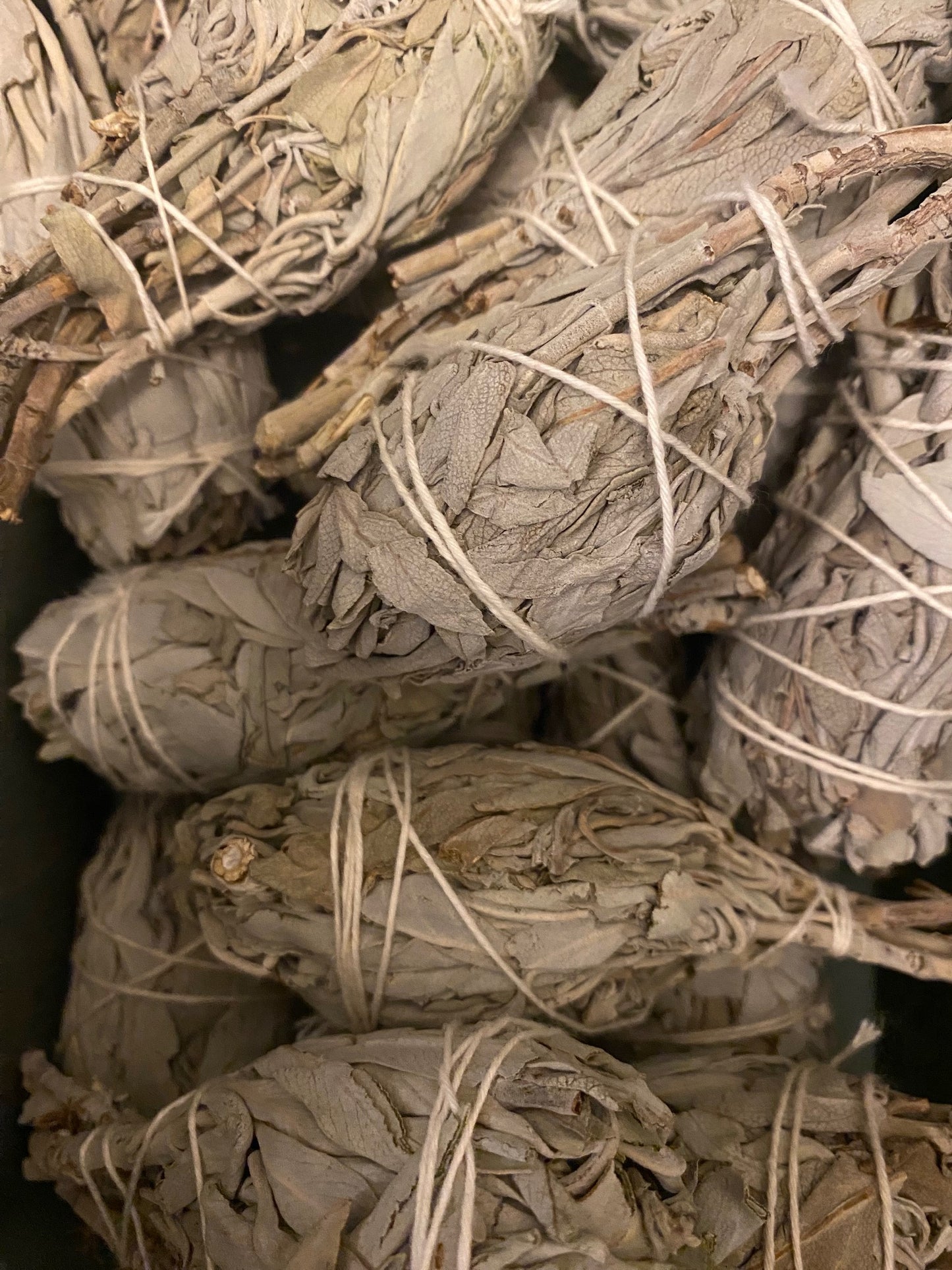 Smudge Single - Californian White Sage