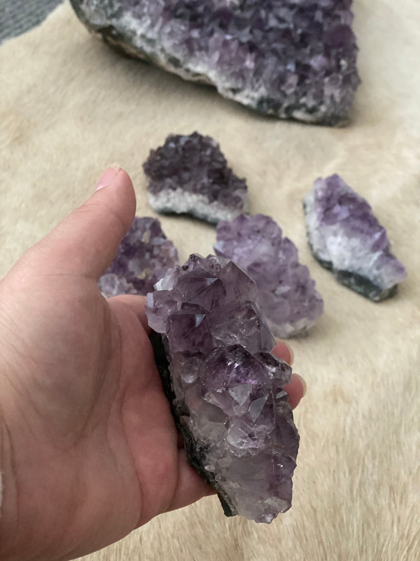 Amethyst Cluster