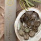 'Gratitude'  Incense Packaged next to dried flowers and an abalone shell filled with smokey quartz crystals.