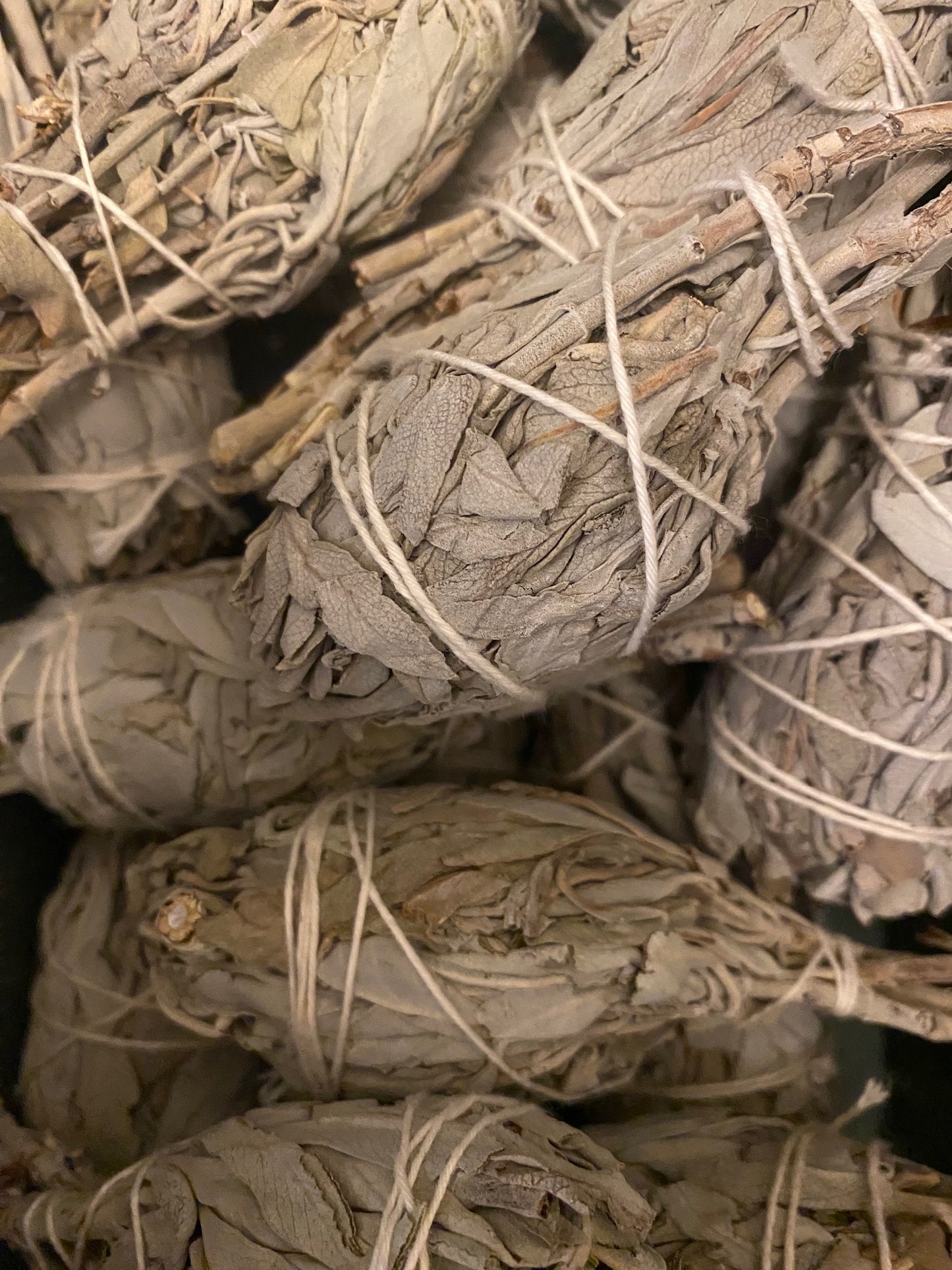 Smudge Single - Californian White Sage